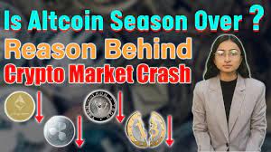 Bitcoin rose by over 200% between october and december of last year as. Crypto Market Crashed What To Do Buy I Sell I Hold Youtube