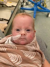 Andy Cochran and his wife, Elizabeth, welcomed twins into the world this  week, albeit about a month early. In the photo, you can see dad checking in 