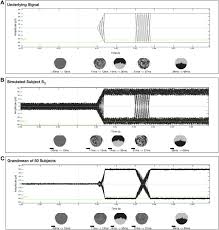 Dynamic spatiotemporal brain analyses using high performance ...