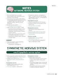 Autonomic Nervous System Notes Diagrams Illustrations Osmosis