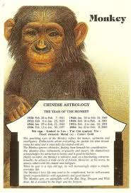 Chinese Astrology Monkey Chinese Astrology Astrology Year Of The Monkey
