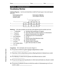 Worksheets are genetics practice problems, genetic practice problems. Chapter 11 Introduction To Genetics Vocabulary Review Answer Key Pdf Fill Online Printable Fillable Blank Pdffiller