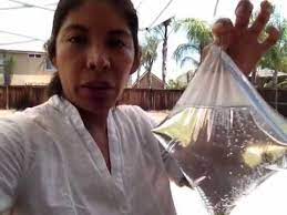 The strong breeze will blow away any flies that buzz by. Getting Rid Of Outdoor Flies Youtube