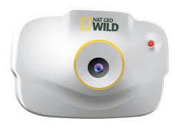 Etsy uses cookies and similar technologies to give you a better experience, enabling things like: The Best Rated Pet Collar Cameras Of 2021 Pet Life Today
