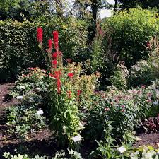 Hecken Im Herbst Pflanzen Gartencentrum Scheid