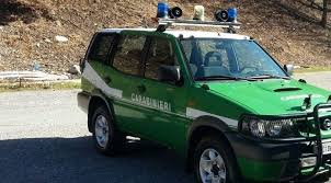 Corpo forestale e carabinieri forestali: Tora E Piccilli Carabinieri Forestali Trovano Auto Con A Bordo Un Cinghiale Oggetto Di Bracconaggio Nel Parco Regionale Di Roccamonfina