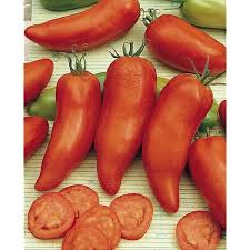 Tomate Des Andes Ou Andine Cornue Bio Graines Baumaux Authentique Grainetier Francais Depuis 1943 Graine De Tomate Tomates Potager Tomates
