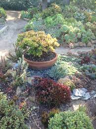 San Diego Botanical Gardens Succulents Garden Mexican Garden Botanical Gardens