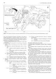 Image result for Diheteropogon amplectens