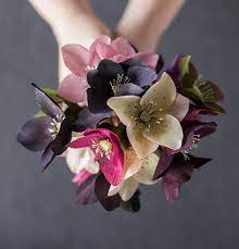 Get an email notification for any results in businesses for sale in johannesburg when they become available. Paper Hellebore Tutorial By Kate Alarcon Design Sponge