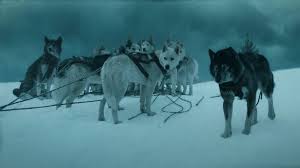 The story of togo, the sled dog who led the 1925 serum run yet was considered by most to be too small and weak to lead such an intense race. The True Story Behind Disney S Togo Outside Online