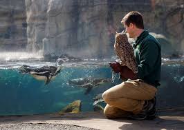 Find the reviews and ratings to know better. Zoos Are Closed Because Of Coronavirus But The Animals Still Need Care The Washington Post