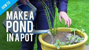 Well no need for worries. How To Make A Pond In A Pot Youtube