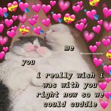 Crush Meme Wholesome Katherine S Wholesome Memes On Instagram Good Morning Hope You All Have A Good Day In 2020 Love Memes For Him Cute Love Memes Love You Meme