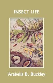 Insect Life Yesterday S Classics Eyes And No Eyes Book 6 By Buckley Arabella B Rainbow Resource Buckley Black And White Drawing