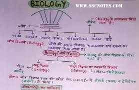 Biology Handwritten Notes In Hindi By Ankur Yadav Pdf Download Science Notes Chemistry Notes In Hindi Ias Notes