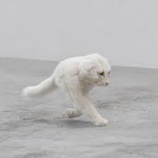 At memesmonkey.com find thousands of memes categorized into thousands of categories. Ceiling Cat Is Still Watching You Elephant