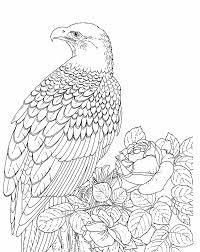 Elmo coloring pages are based on his special characteristics of funny antics and falsetto voice. Free Printable Bald Eagle Coloring Pages For Kids