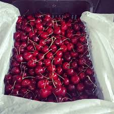 We did not find results for: Fresh Sweet Cherry Fresh Cherry Fruit Red Cherry Buy Frozen Sour Cherry Fresh Cherry Peppers Red Cherry Product On Alibaba Com