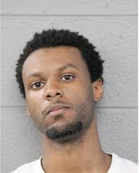 ᐅ Illinois Criminal Records 2009-2025