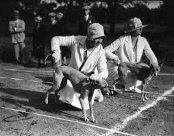 Black And White Greyhound Racing Greyhound Racing 1920 S Style Roaring Twenties Old Photos Vintage Photography