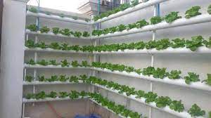 Please contact us with your ideas, questions or suggestions. Just Another Wordpress Site Hydroponics Diy Hydroponic Gardening Backyard Aquaponics
