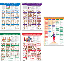 Trigger Point Charts 5 Chart Set Kent Health Systems