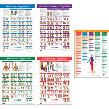 trigger point charts 5 chart set kent health systems