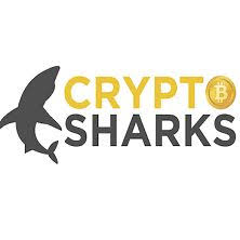 Despite significant volatility, bitcoin (btc) has recently crossed the $10,000 mark for the first time since february. Crypto Sharks Cryptosharks Profile Pinterest