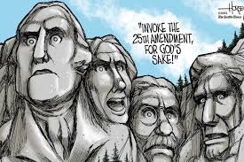 Politician's Mental Fitness for Office