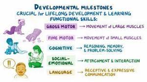 Image result for Infant Development Inventory