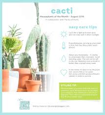 That said, it's ideal if you give the jasmine at least six hours to sit in the sun every day. Houseplants Of The Month August Cacti