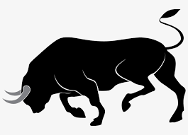 Download in under 30 seconds. Bull Clipart Png Image 02 Bull Clipart Transparent Png 800x511 Free Download On Nicepng