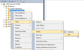 How To Shrink The Transaction Log