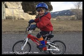 Woom 2 Bike Review Bike Reviews Woom Bike Kids Bike