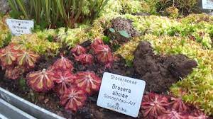 See 33 reviews, articles, and 34 photos of botanic garden (botanischer garten) klagenfurt: Botanischer Garten Der Universitat Des Saarlandes Home Facebook