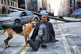 Nonton i am legend hd bluray webdl bahasa. Movies Will Smith I Am Legend 1080p 2k 4k 5k Hd Wallpapers Free Download Wallpaper Flare