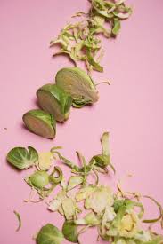 If the infection gets out of control, don't plant brussels sprouts next year so the infection can die off. Everything To Know About Cooking And Shopping For In Season Brussels Sprouts Stories Kitchen Stories