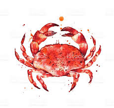 Epingle Sur Wet Critters