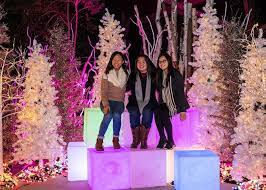 A Wild Wonderland Of Light L A Zoo Lights Zoo Lights Zoo Lights