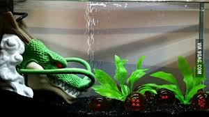 Dragon Ball Aquarium Fish Tank Decorations Fish Tank Aquarium