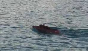 Sono ottimi nuotatori nonostante la stazza e non hanno paura dell'acqua. Cinghiali Nuotano In Mare Tra Colamaio E Pineta Mare Gazzetta Del Sud
