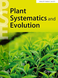 Image result for Panicum heterostachyum