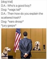 Funny Animal Pictures Of The Day 24 Pics Daily Lol Pics Funny Animals With Captions Funny Dog Captions Funny Animal Pictures