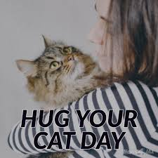 Hey, it's hug your cat day! Today Is Hug Your Cat Day Share Wjxt4 The Local Station News4jax Facebook
