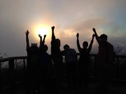 Image result for Trimeria