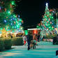 Marana's Nightly Christmas Tree & Musical Light... event in Marana, AZ