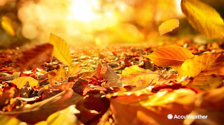Five fun fall facts you might not know - ABC7 San Francisco