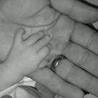 Hertshooi Hypericum Calycinum Bodembedekker 4 Pack 1 Stuks Met Afbeeldingen Schaduwplanten Tuinplanten