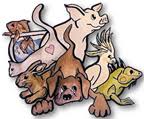 Lokacija na karti critter care animal hospital. Veterinarian In Norco Ca The Critter Care Center